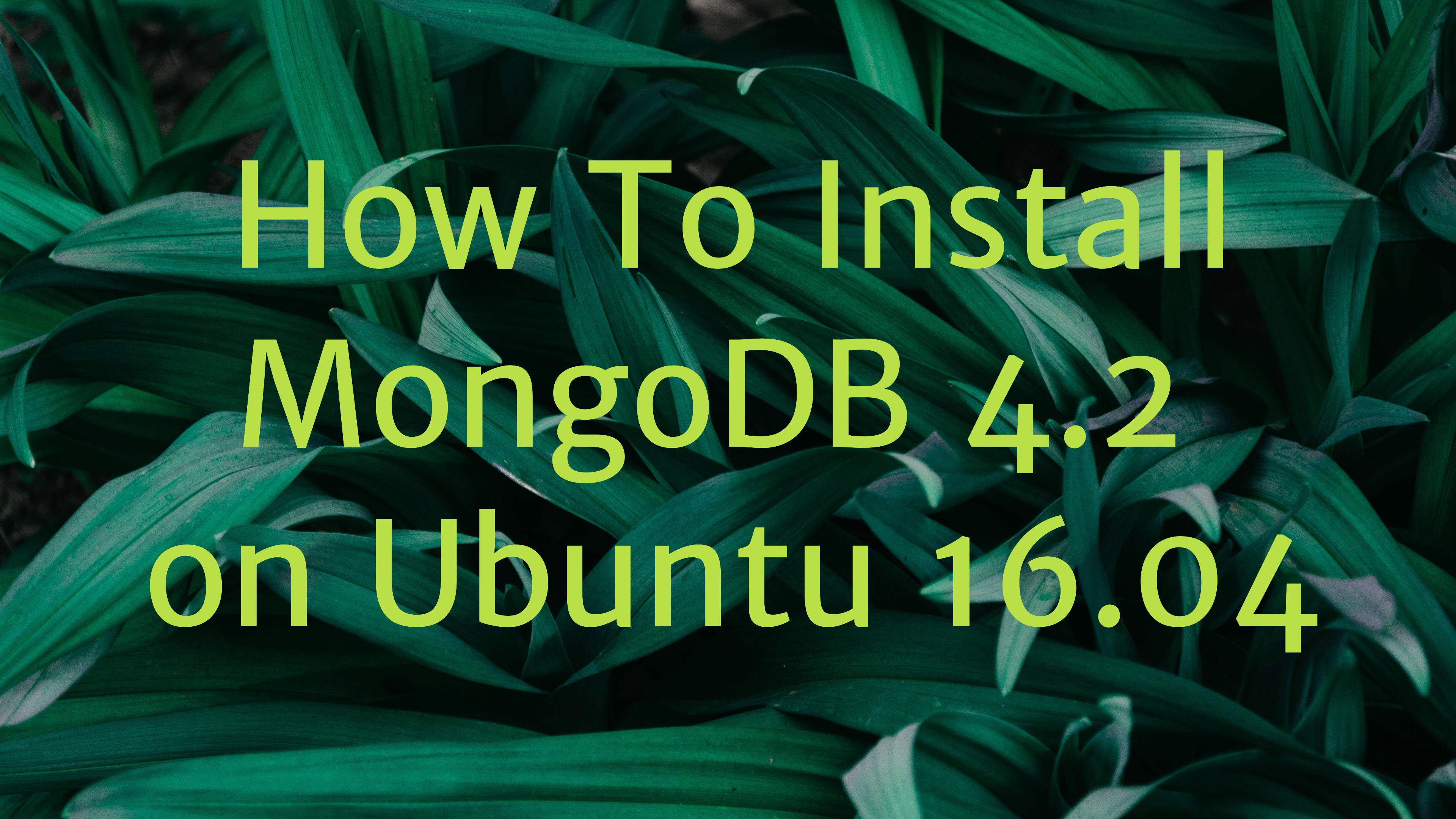 Install MongoDB 4.2 Ubuntu 16.04